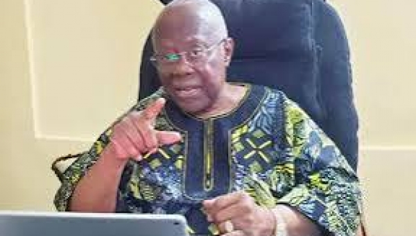 Bode George calls for viable opposition to strengthen democracy